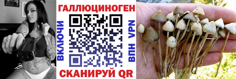 Псилоцибиновые грибы мухоморы  цена   Тейково 